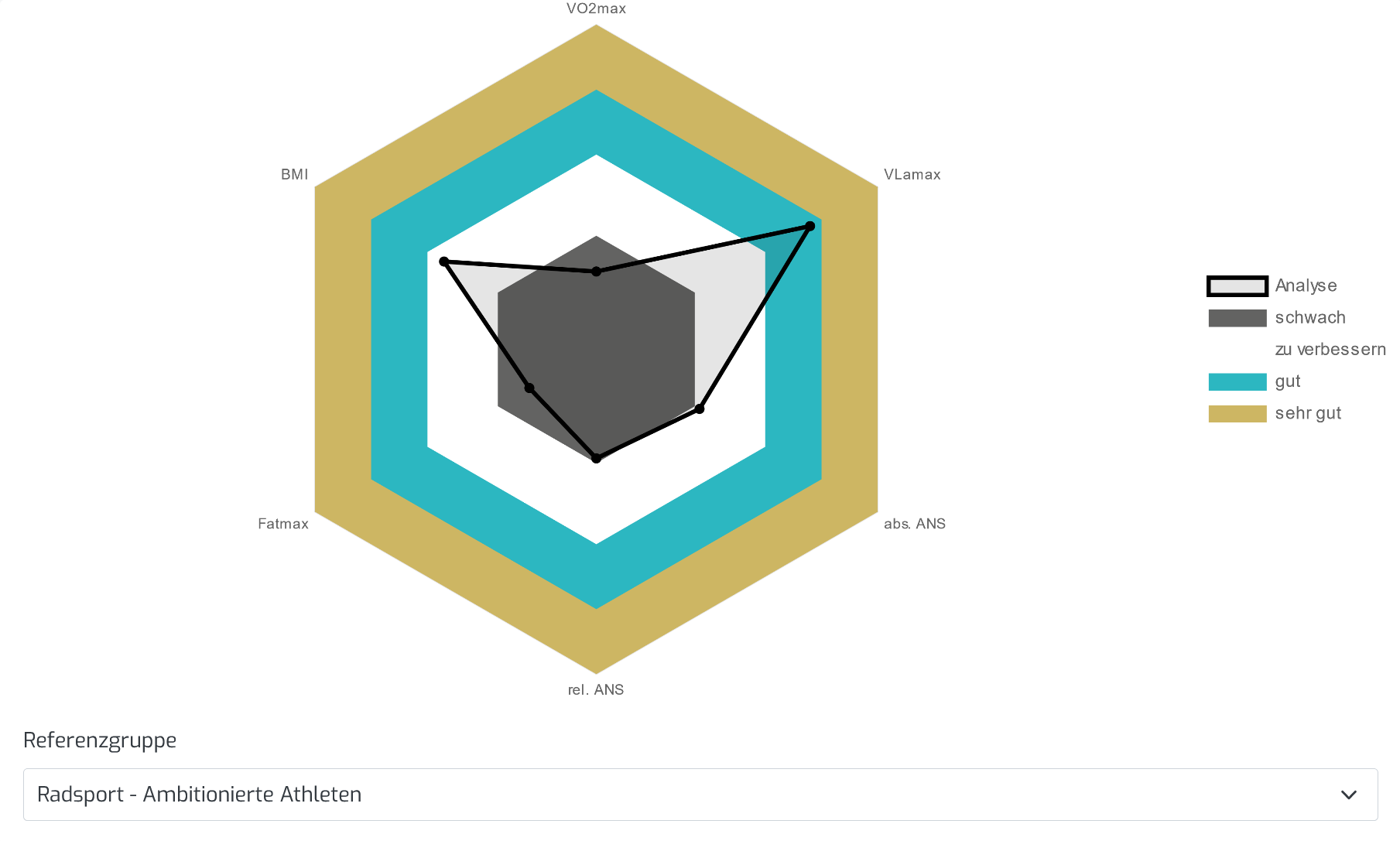 Diagramm des metabolischen Profiles einer beispielhaften AI DIAGNOSTICS Auswertung