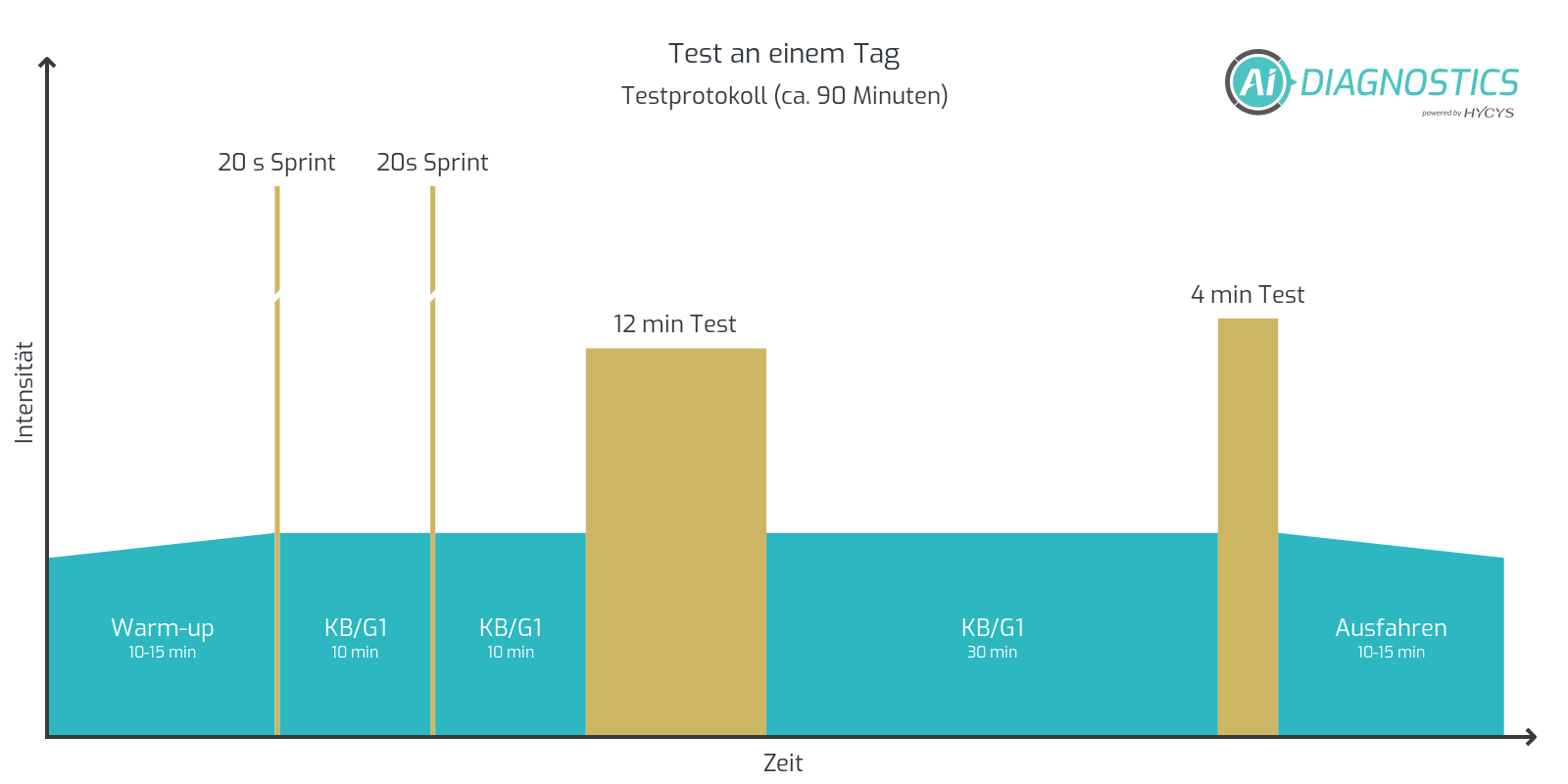Protokoll zur Durchführung des Tests an einem Tag: Zwei All-Out-Sprints, ein 12-Minuten- und ein 4-Minuten-Test in einer Session